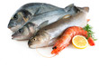 Photo en ligne au meilleur prix Sea food