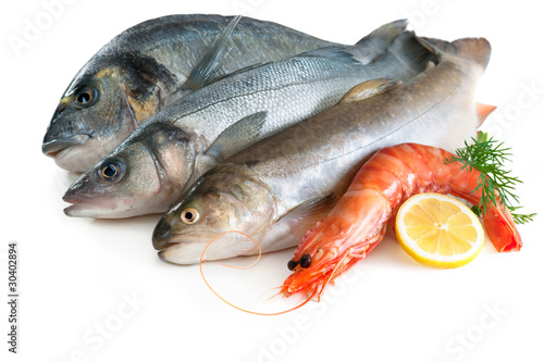 Foto: Sea food Sea food