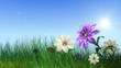 Growinf flowers wit grass Growinf flowers wit grass