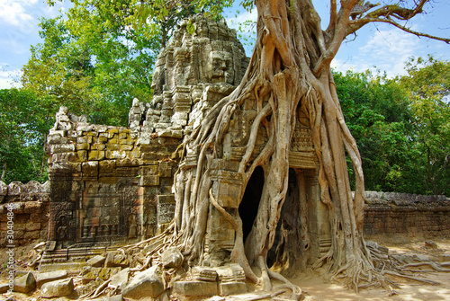 Photo : Huge roots of tropical tree on the temple near Angkor wat Huge roots of tropical tree on the temple near Angkor wat