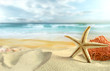 Starfish on the Beach