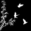 white bamboo and small birds
