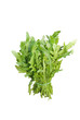 rucola