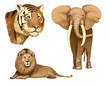 tigre-leone-elefante tigre-leone-elefante