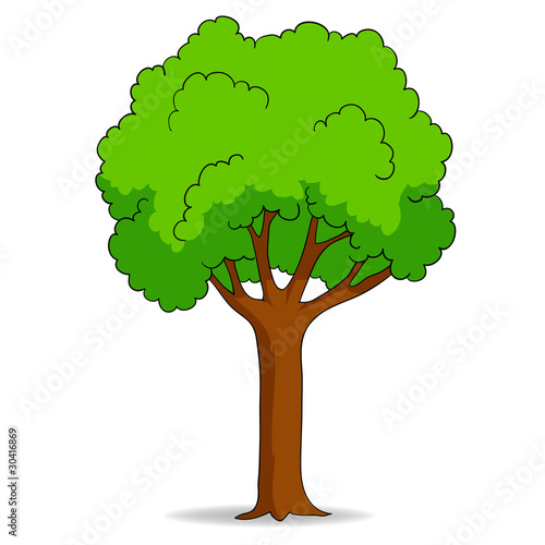 Vector: Cartoon tree isolated on white background Cartoon tree isolated on white background