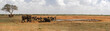 Tsavo East Tsavo East
