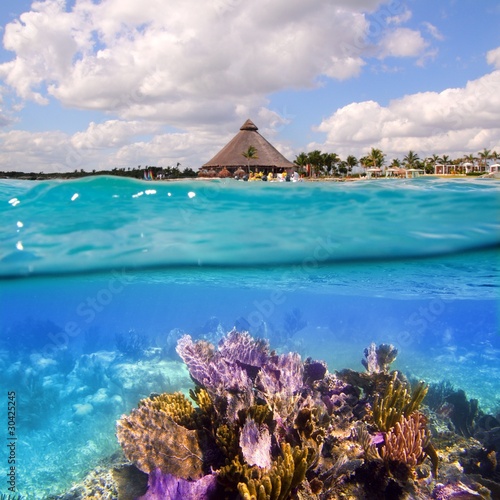 Photo: Coral reef in Mayan Riviera Cancun Mexico Coral reef in Mayan Riviera Cancun Mexico