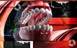 Mouth
