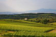 Chianti, paesaggio collinare e vigneti