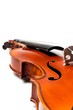Violon