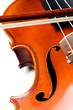 Violon