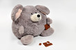 overweight mouse eating chocolate overweight mouse eating chocolate