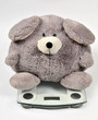 overweight. Get to know your weight overweight. Get to know your weight