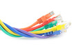 Foto: Multi colored computer cables Multi colored computer cables