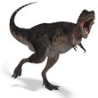 Dinosaur Tarbosaurus. 3D rendering with clipping path and