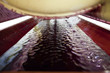Inside a wine press free run juice from crushed red grapes Inside a wine press free run juice from crushed red grapes