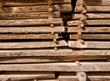 Holz, Möbelholz, Bretter, Tischlerei, natürliche Baustoffe