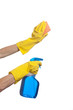 Holding Spray Bottle and Scrub Brush