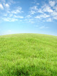 Foto: grassland grassland