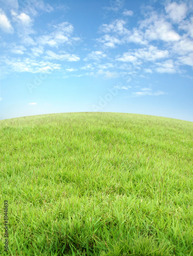 Photo: grassland grassland
