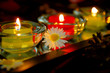 daisy near fire