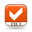 Icon CSS 3