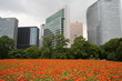 Tokyo Financial District Tokyo Financial District