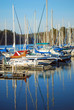 A Day At The Marina
