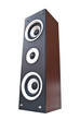 Wood loudspeaker isolate on the white.
