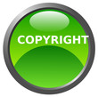 Copyright glossy icon