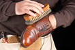 Shoe polisher