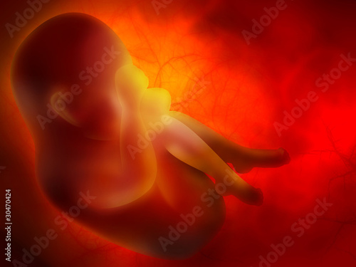 Illustration: embryo embryo