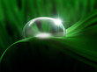 dewdrop