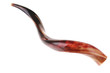 ram horn ( shofar )