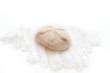 Photo: Isolated Sand dollar and sand Isolated Sand dollar and sand