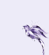 A violet bird made of water flying away.