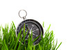 compass in green grass compass in green grass