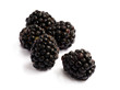 Black Berries on white