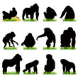 Monkeys silhouettes set Monkeys silhouettes set
