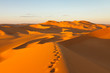 Footprints in the Sand Dunes - Murzuq Desert, Sahara, Libya Footprints in the Sand Dunes - Murzuq Desert, Sahara, Libya