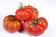 Tomaten