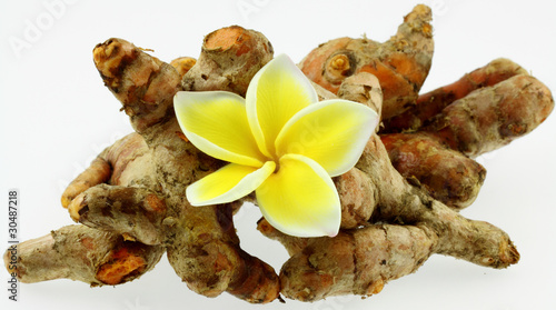 Photo: rhizome de curcuma longa, safran pays, île de la Réunion rhizome de curcuma longa, safran pays, île de la Réunion