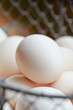 Oeuf de poule bio fermier en gros plan dans un panier d'oeufs