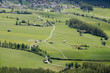 Fields
