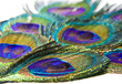 Feather