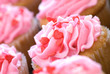 Closeup of Pink Valentine Cupcakes with Sprinkles Closeup of Pink Valentine Cupcakes with Sprinkles