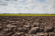 End of summer in agricultural landscape End of summer in agricultural landscape