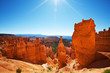Bryce