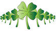 4 leaf clovers