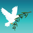 white dove